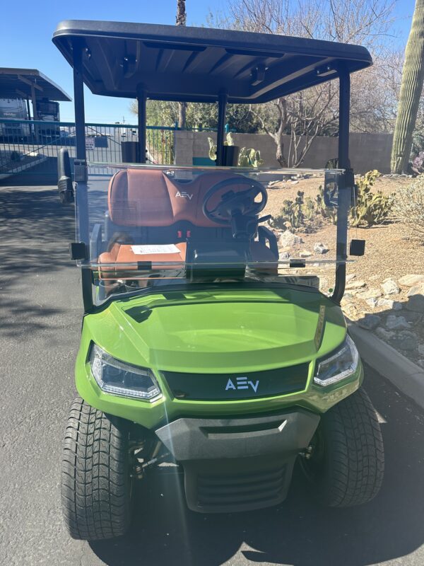 2025 ADVENT 2 CACTUS GREEN