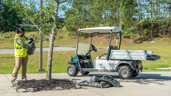 Carryall 502 - Club Car - Image 3