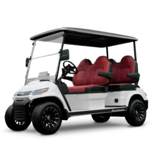 2025 Advanced EV Horizon